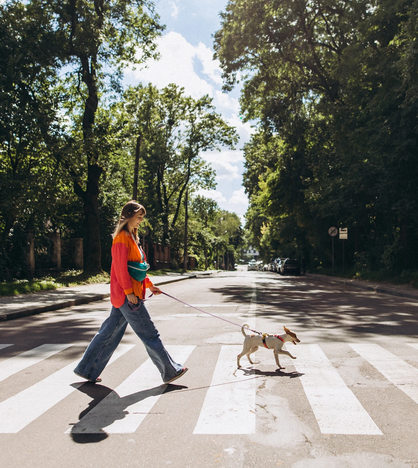 lady_and_dog