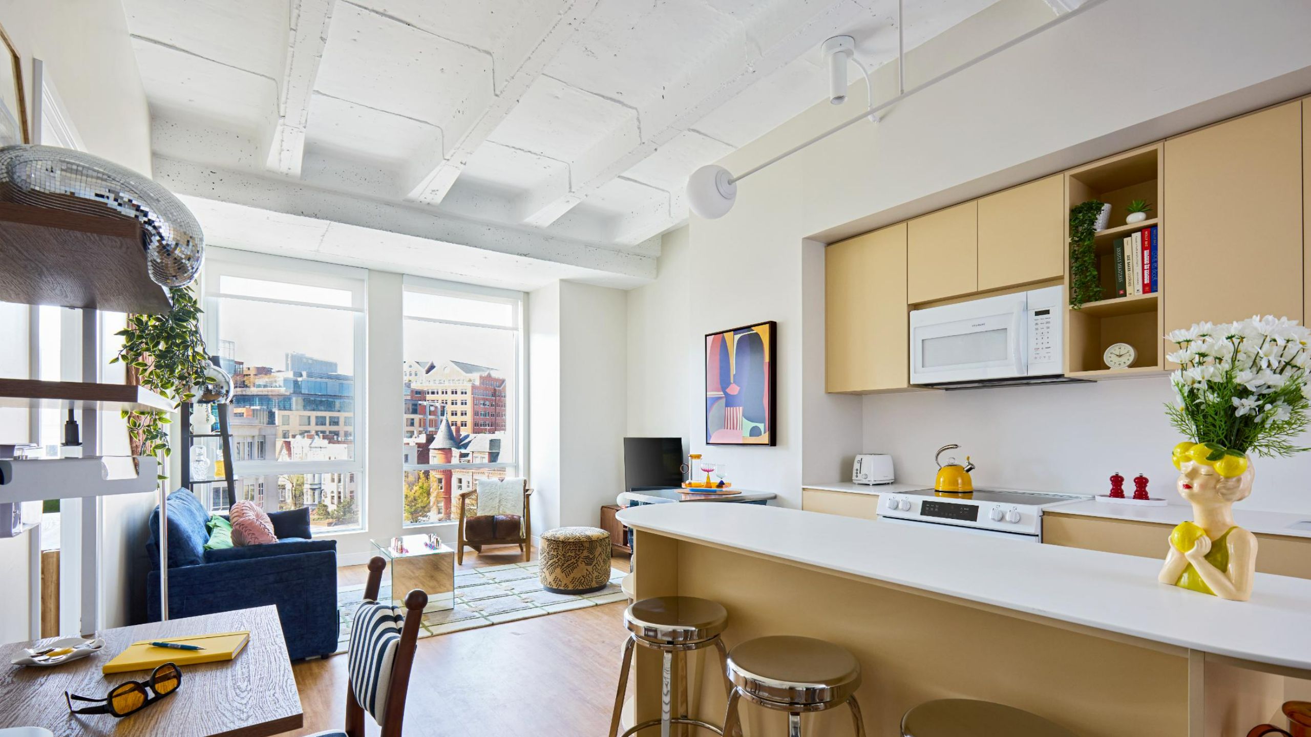 AviatorHouse_LuxuryCommunity_Kitchen_WashingtonDC